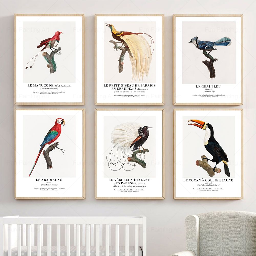 Vintage Paradise Bird Wall Art - Furniture Paradise & Hardware Ghaziabad Photos ulasan dan harga
