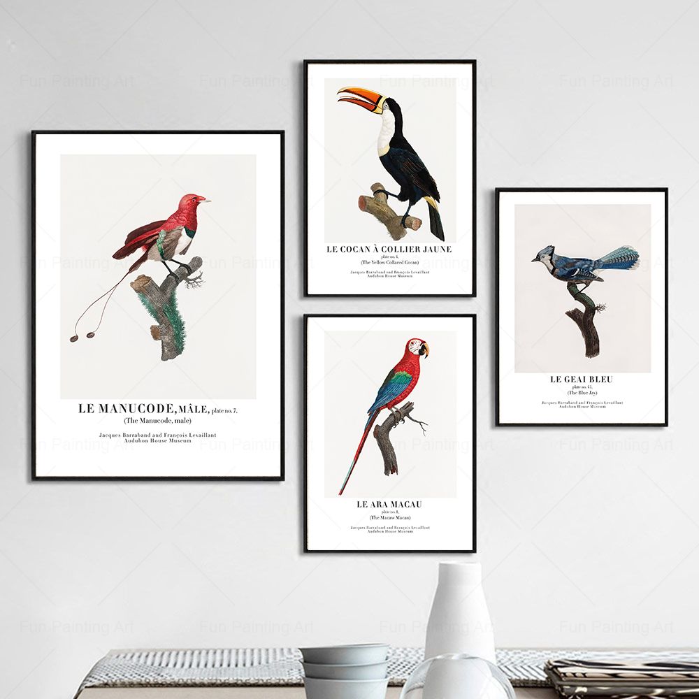 Vintage Paradise Bird Wall Art - Furniture Paradise & Hardware Ghaziabad Photos ulasan dan harga