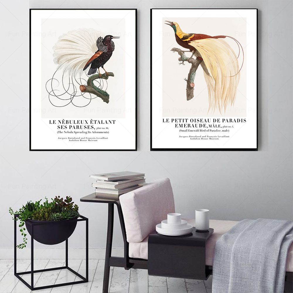 Vintage Paradise Bird Wall Art - Furniture Paradise & Hardware Ghaziabad Photos ulasan dan harga