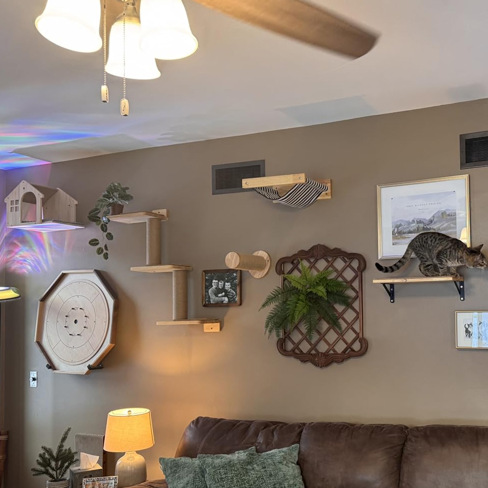 Cat Furniture Solid Wooden Sus - Furniture Paradise & Hardware Ghaziabad Photos ulasan dan harga