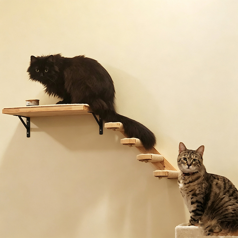 Cat Furniture Solid Wooden Sus - Furniture Paradise & Hardware Ghaziabad Photos ulasan dan harga