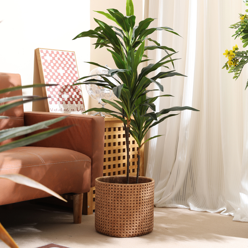 Furniture for small-sized apar - Furniture Paradise & Hardware Ghaziabad Photos ulasan dan harga